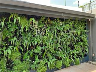 Living green wall & vertical garden for biodiversity