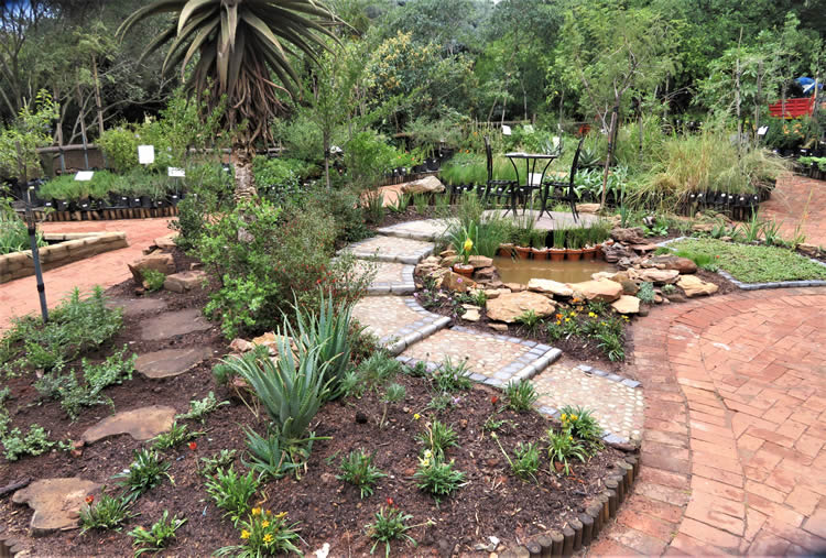 bird-friendly garden - plant nursery Johannesburg