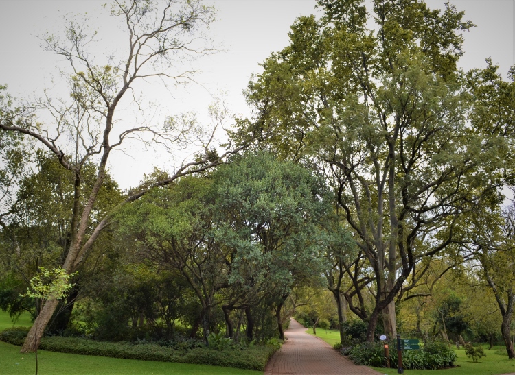 bird-friendly gardens