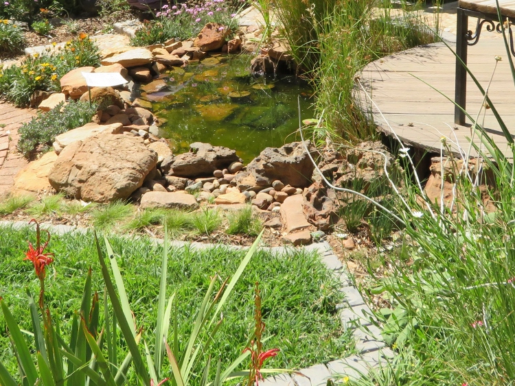 Bird-Friendly Garden