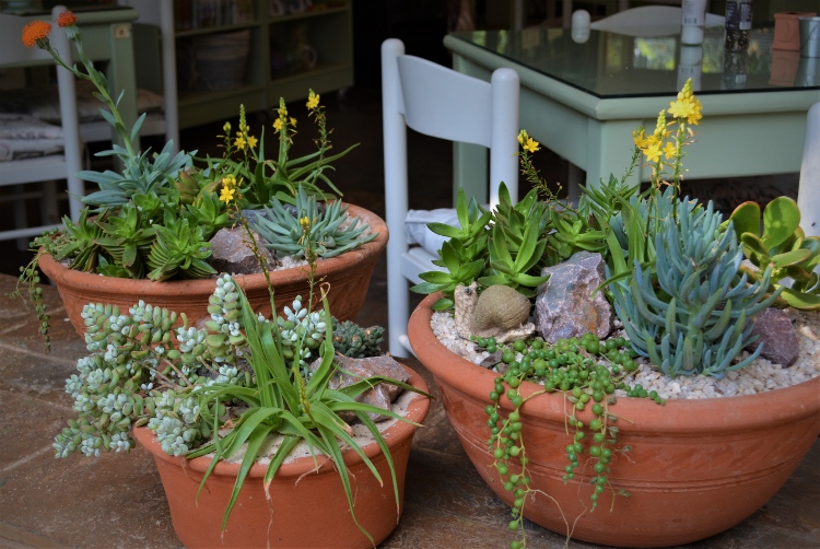 plant nursery