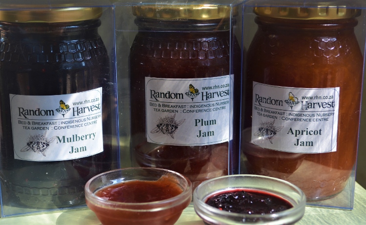 indigenous plant nursery gifts