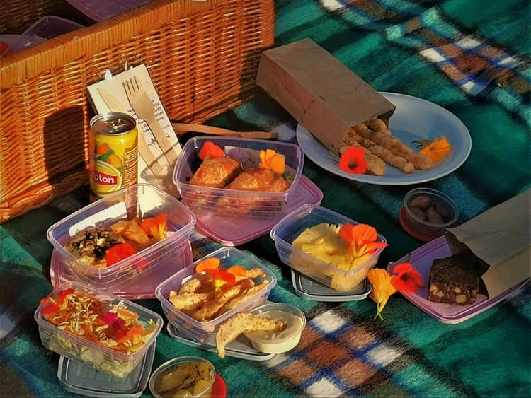 picnic spots in Johannesburg