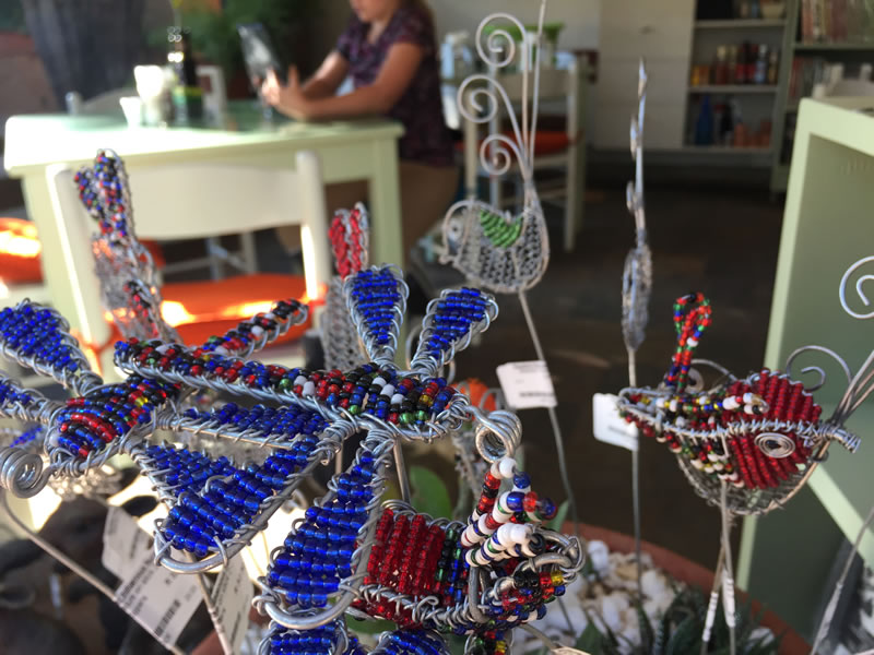 Random Harvest Indigenous Plant Nursery Tea Garden Johannesburg