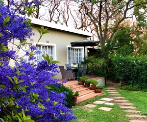 Lavender Tree Cottage