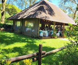 Lavender Tree Cottage