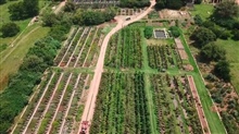 Aerial View of Random Harvest Nursery & Farm