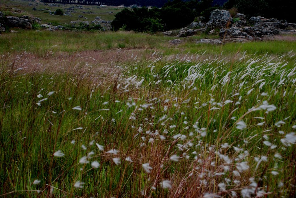 KaapseHoop landscape