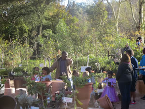 Indigenous Plant Nursery