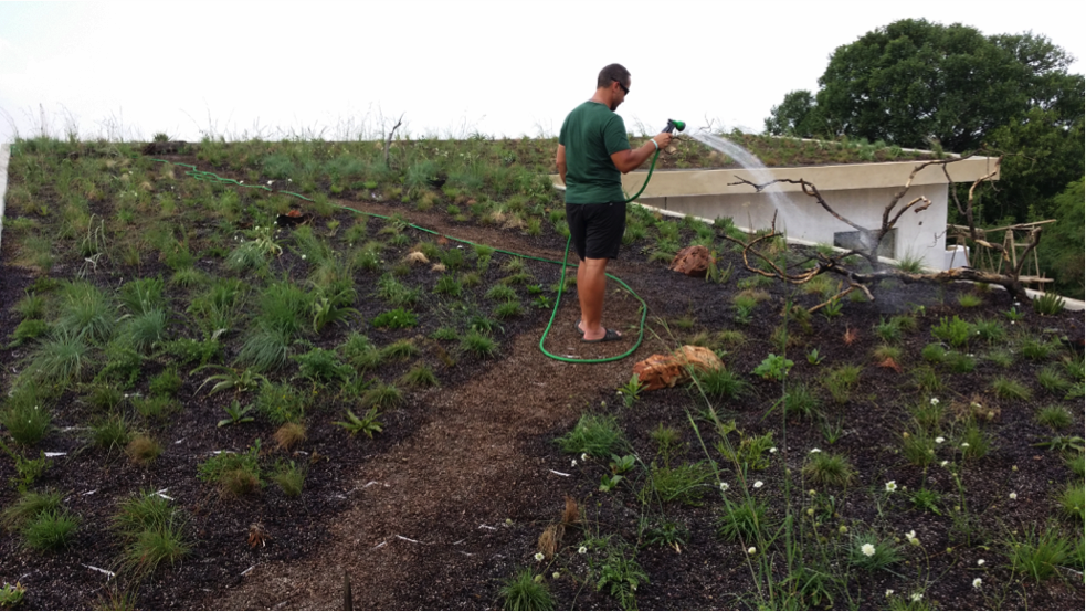 Plant selection