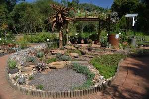 Guide to Water Conservation Garden Display