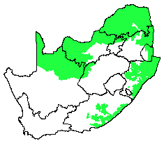 The Savanna Biome