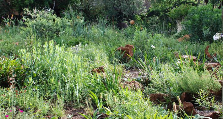 Natural garden